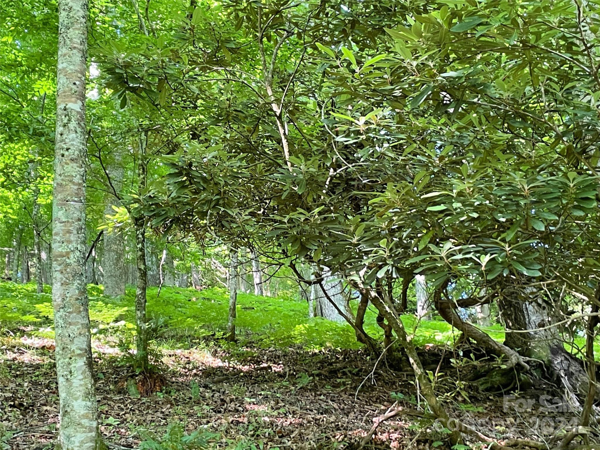 3065 Piney Hill Road - Photo 27