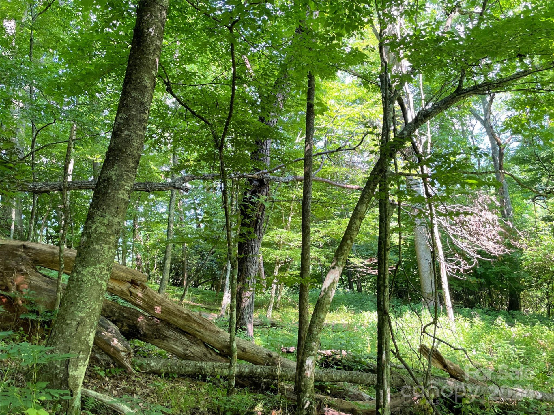 3065 Piney Hill Road - Photo 28