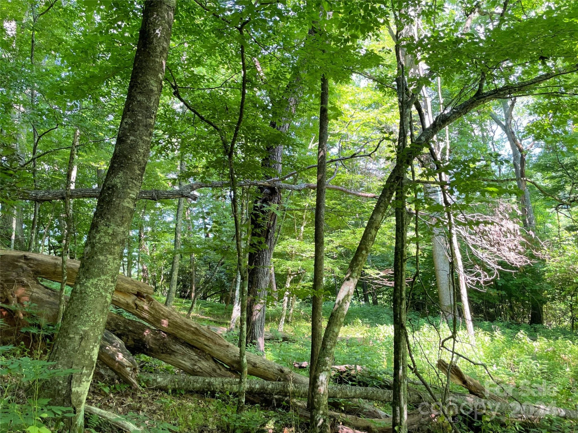 3065 Piney Hill Road - Photo 28