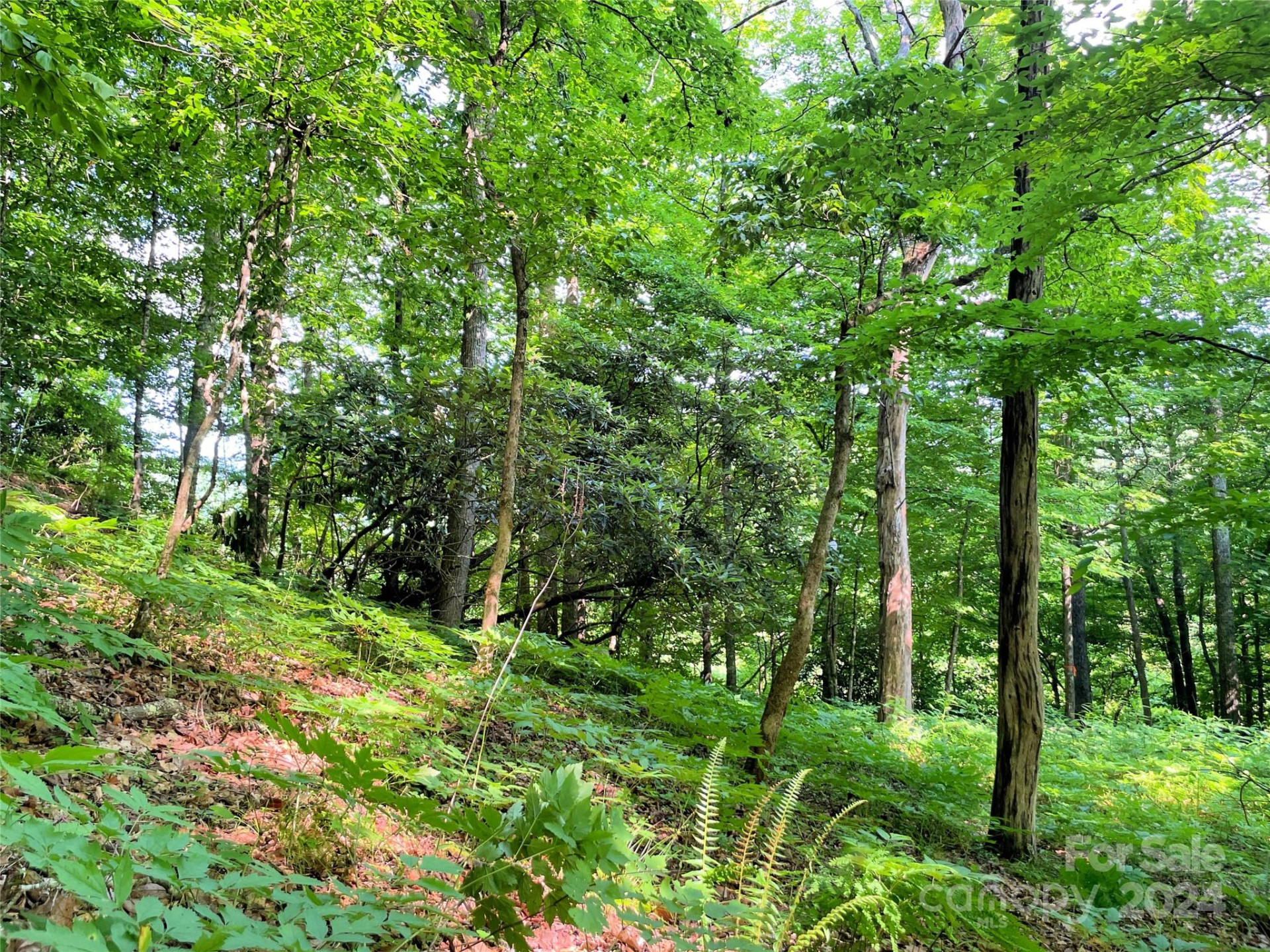 3065 Piney Hill Road - Photo 29