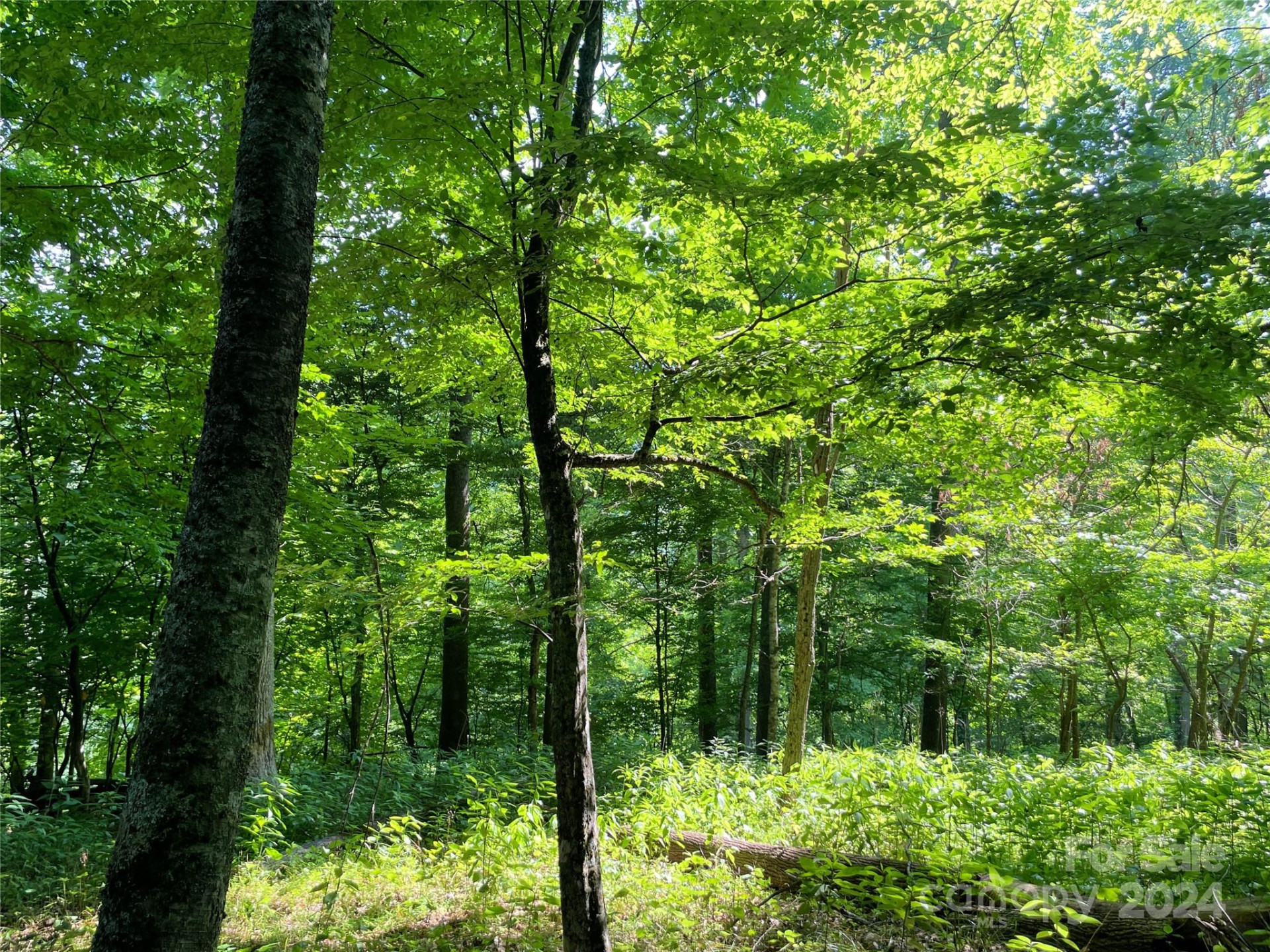 3065 Piney Hill Road - Photo 30