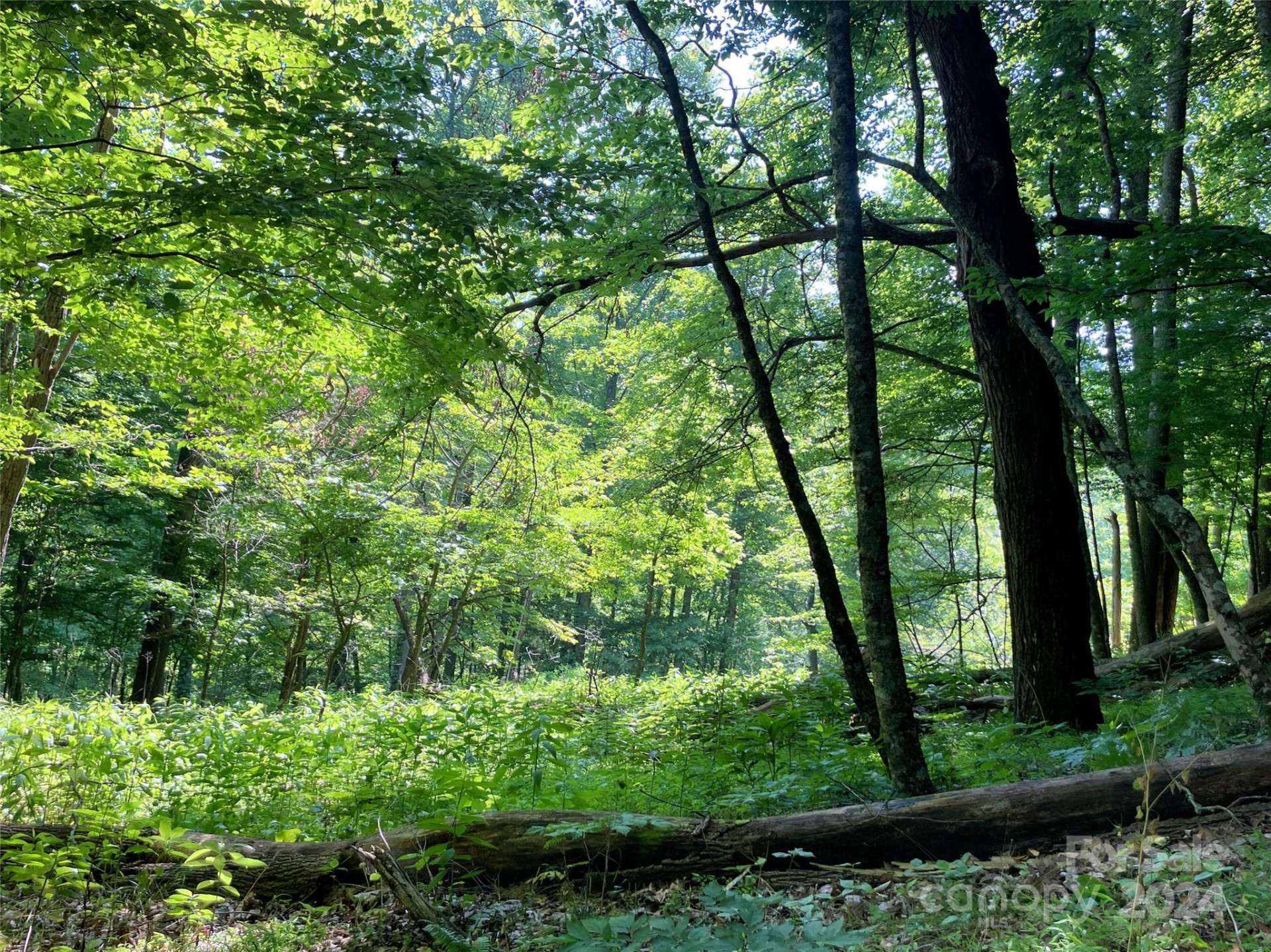 3065 Piney Hill Road - Photo 31