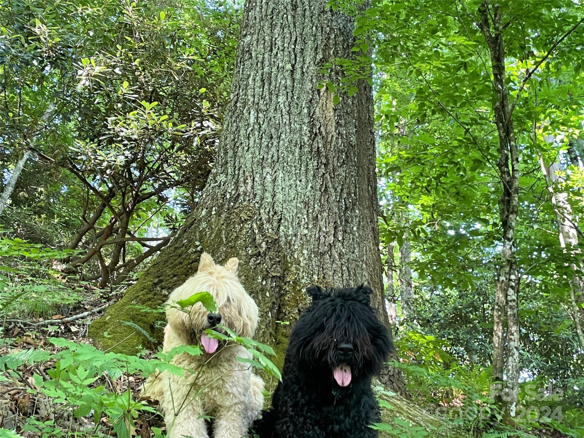 3065 Piney Hill Road - Photo 32