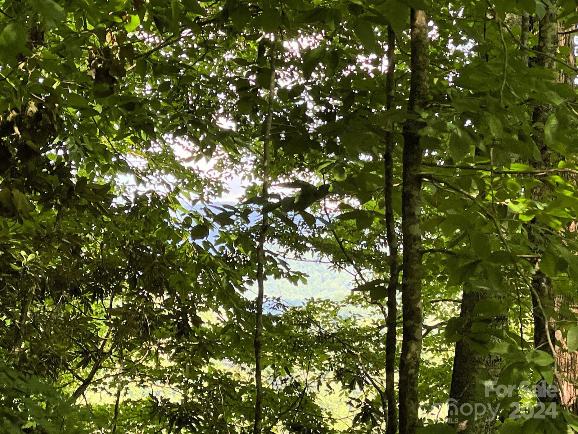 3065 Piney Hill Road - Photo 33