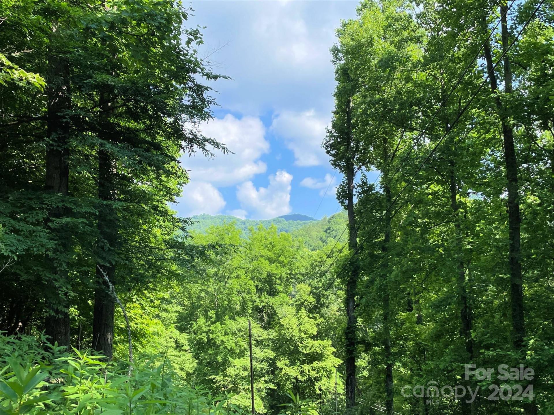 3065 Piney Hill Road - Photo 34