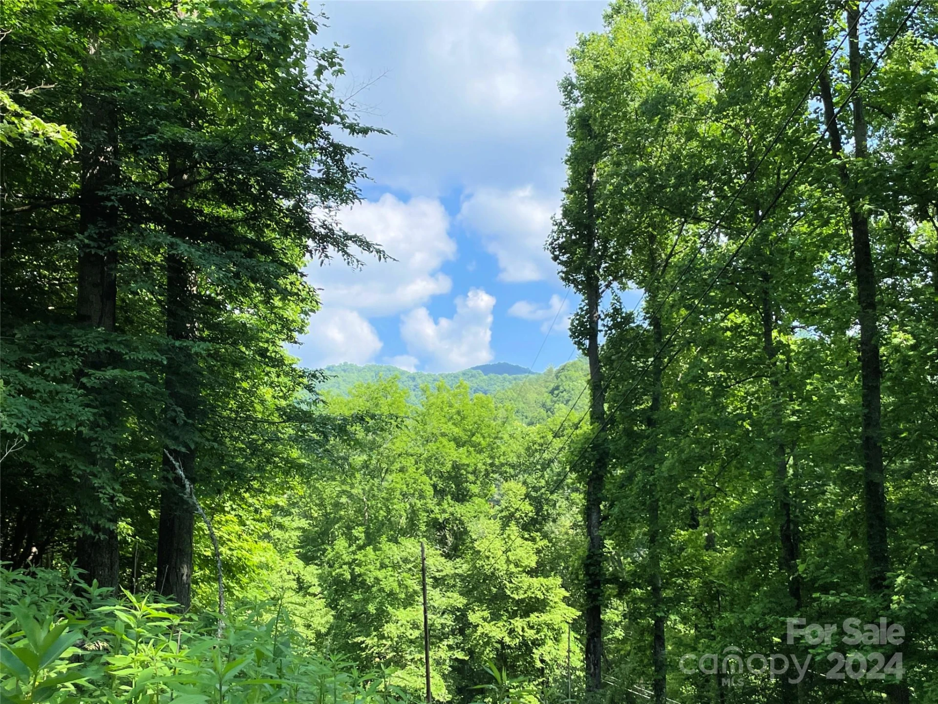3065 Piney Hill Road - Photo 34