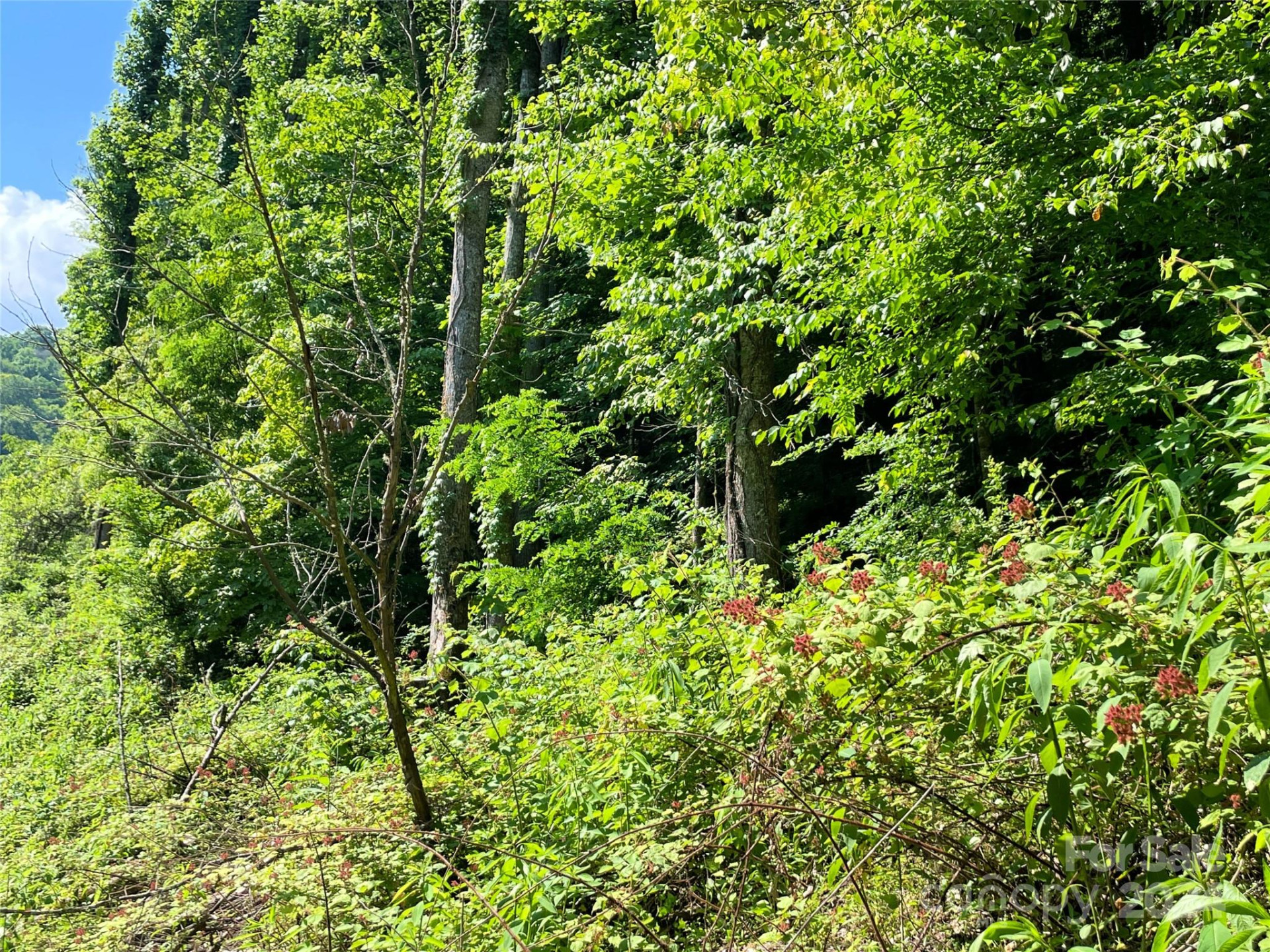 3065 Piney Hill Road - Photo 35