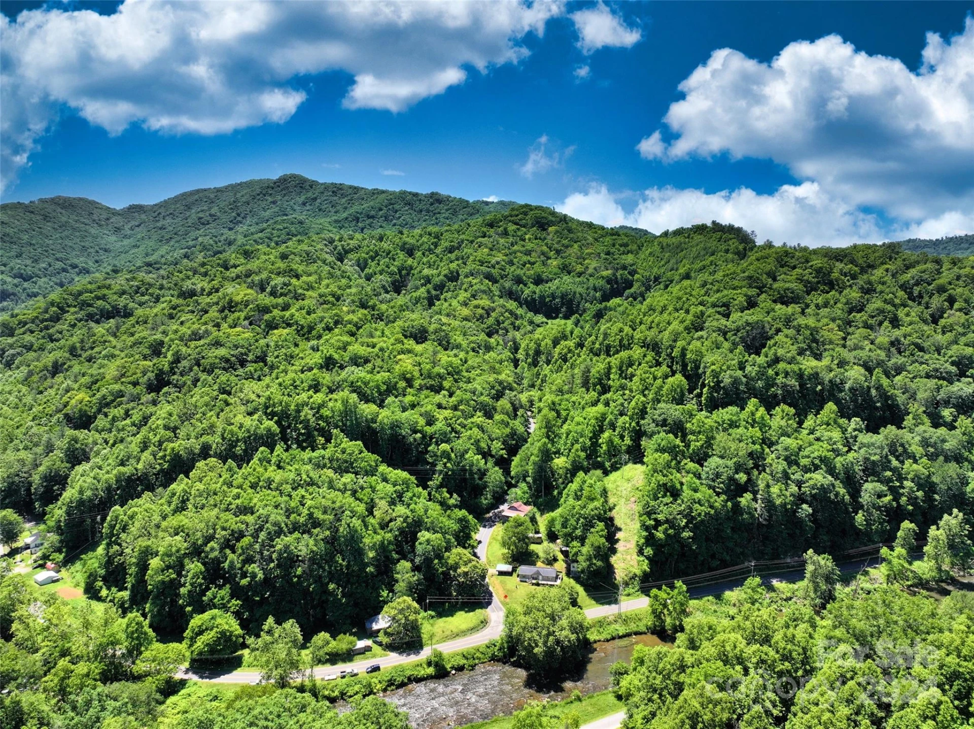 3065 Piney Hill Road - Photo 5