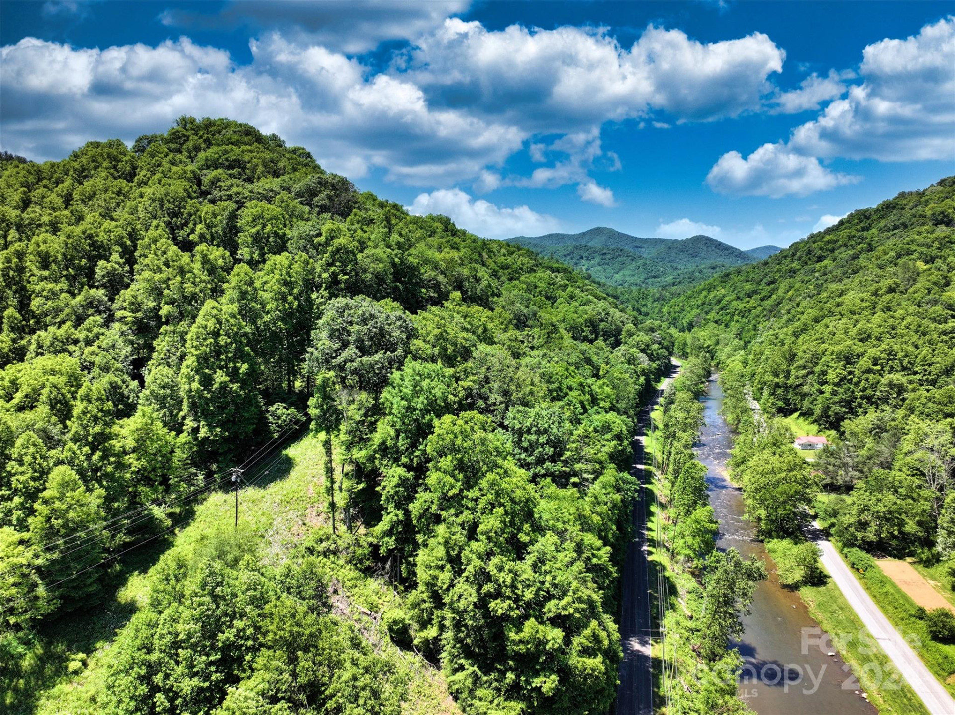 3065 Piney Hill Road - Photo 6