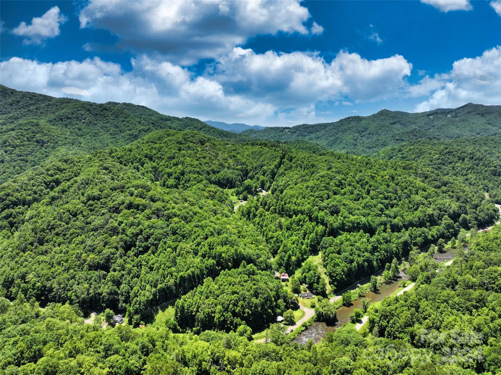 3065 Piney Hill Road - Photo 10
