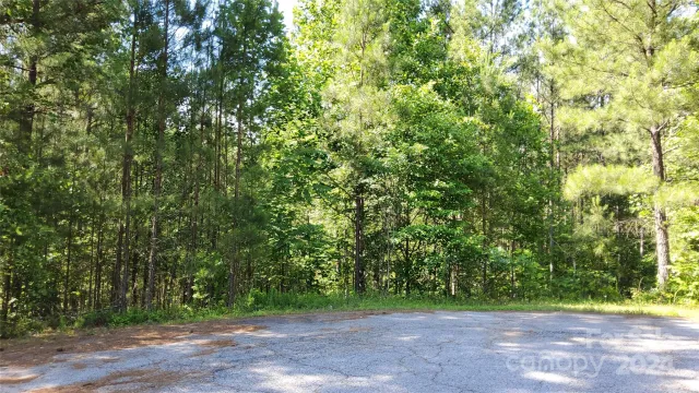 0 Ashley Court, Mill Spring, NC, 28756