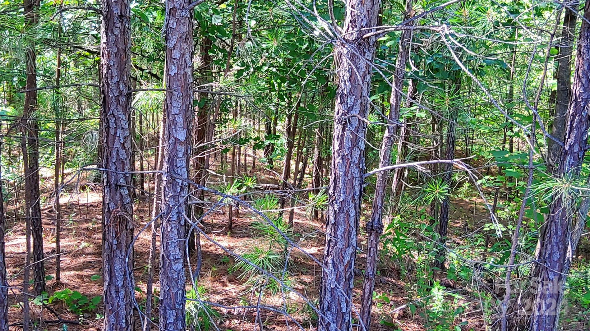 0 Ashley Court #7 - Photo 12