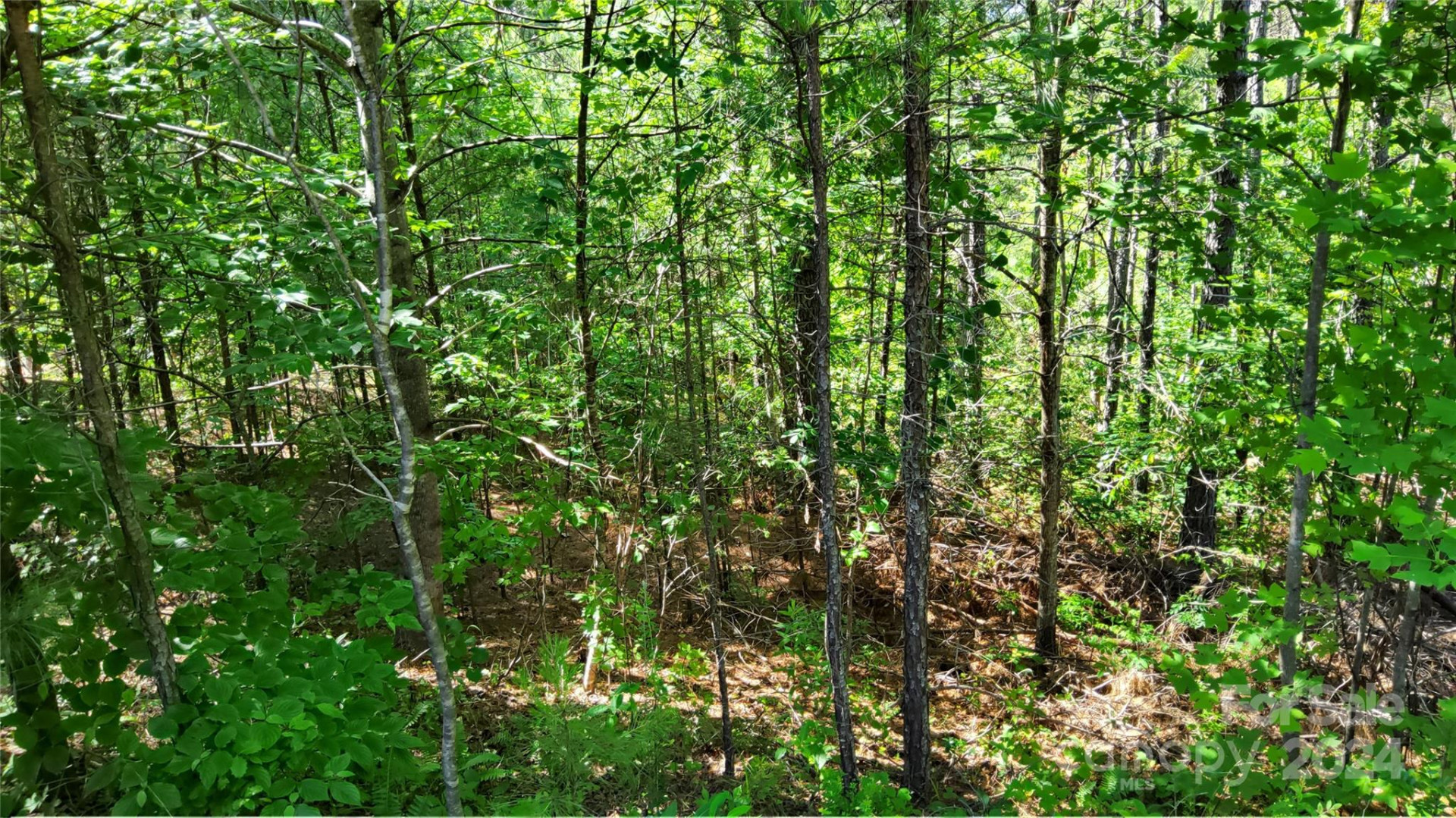 0 Ashley Court #7 - Photo 14