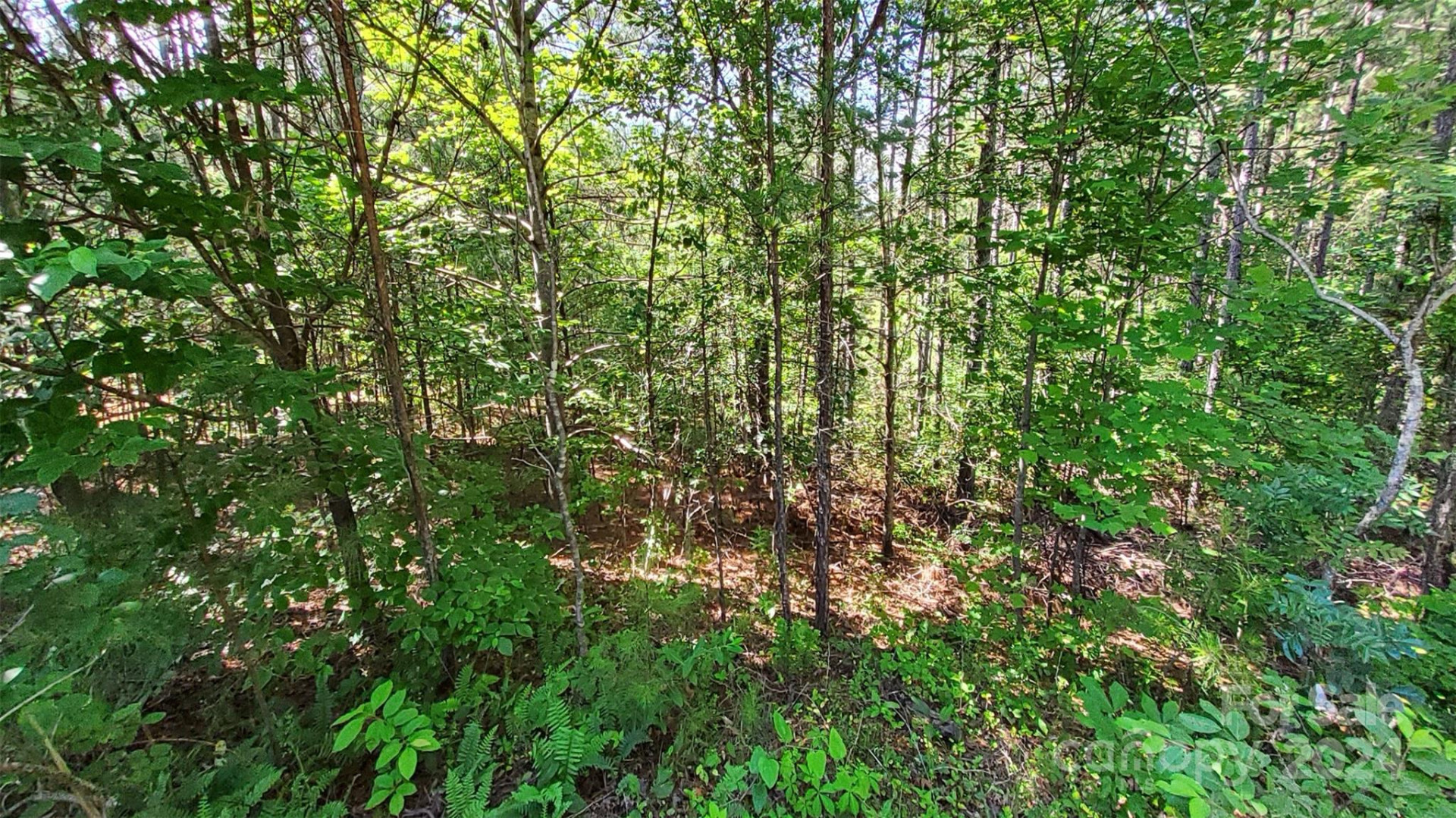 0 Ashley Court #7 - Photo 15