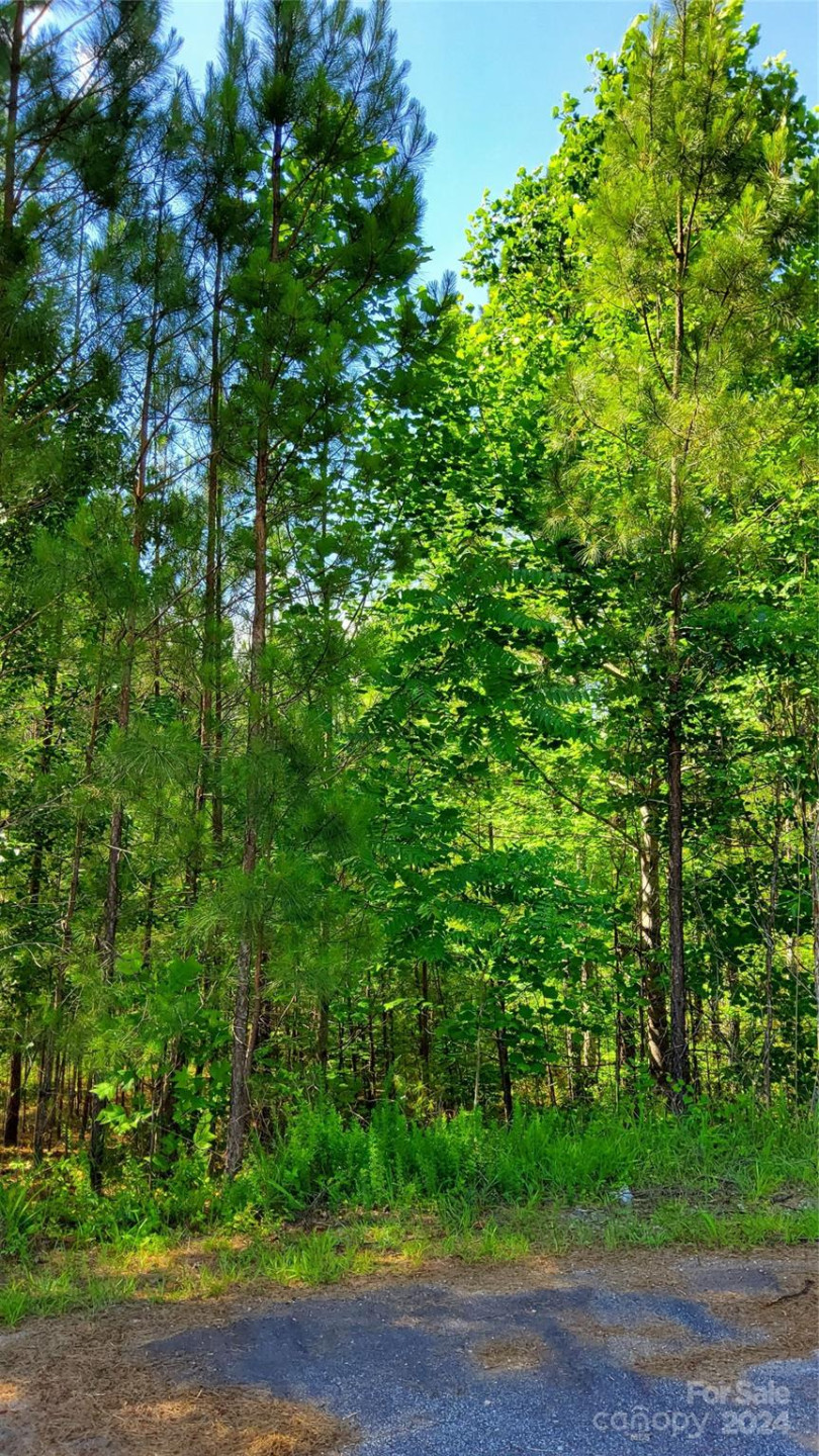 0 Ashley Court #7 - Photo 17