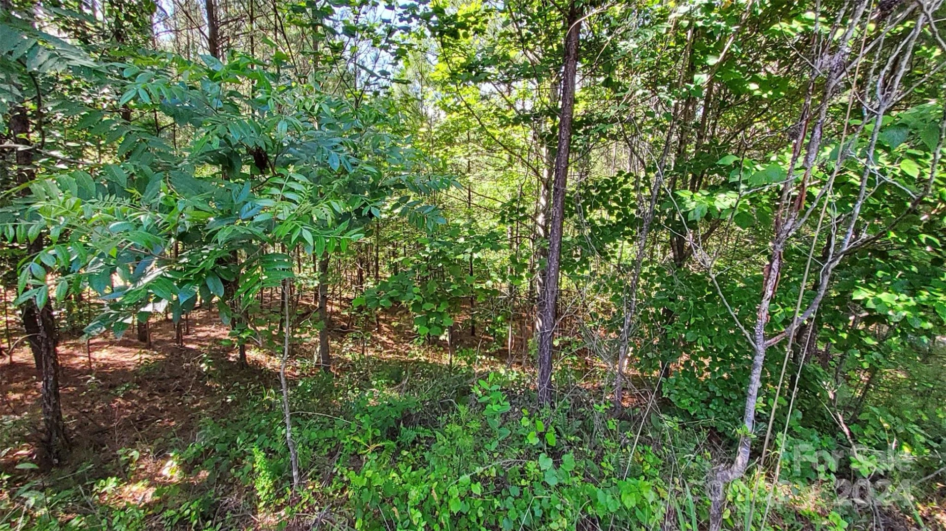 0 Ashley Court #7 - Photo 9