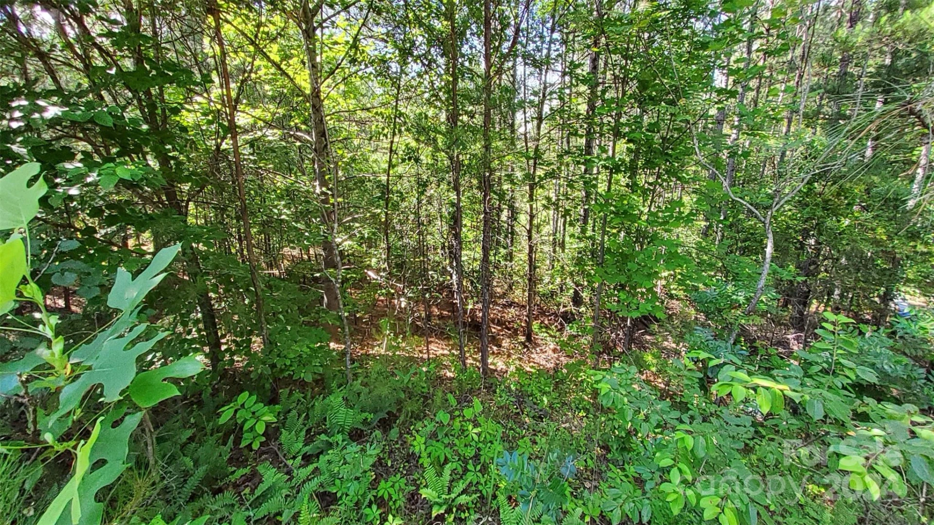 0 Ashley Court #7 - Photo 10