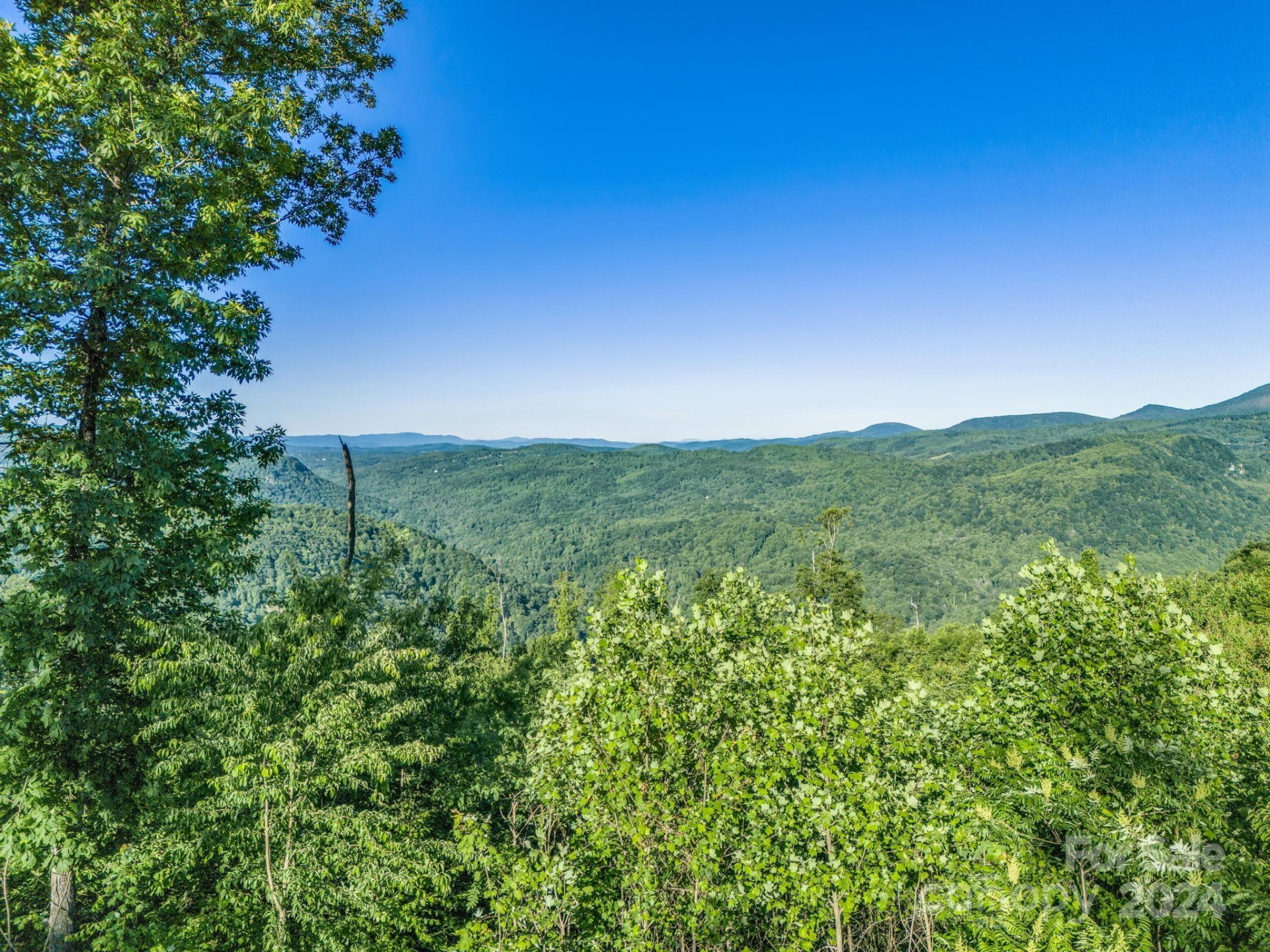 0000 H and H Trail - Photo 6