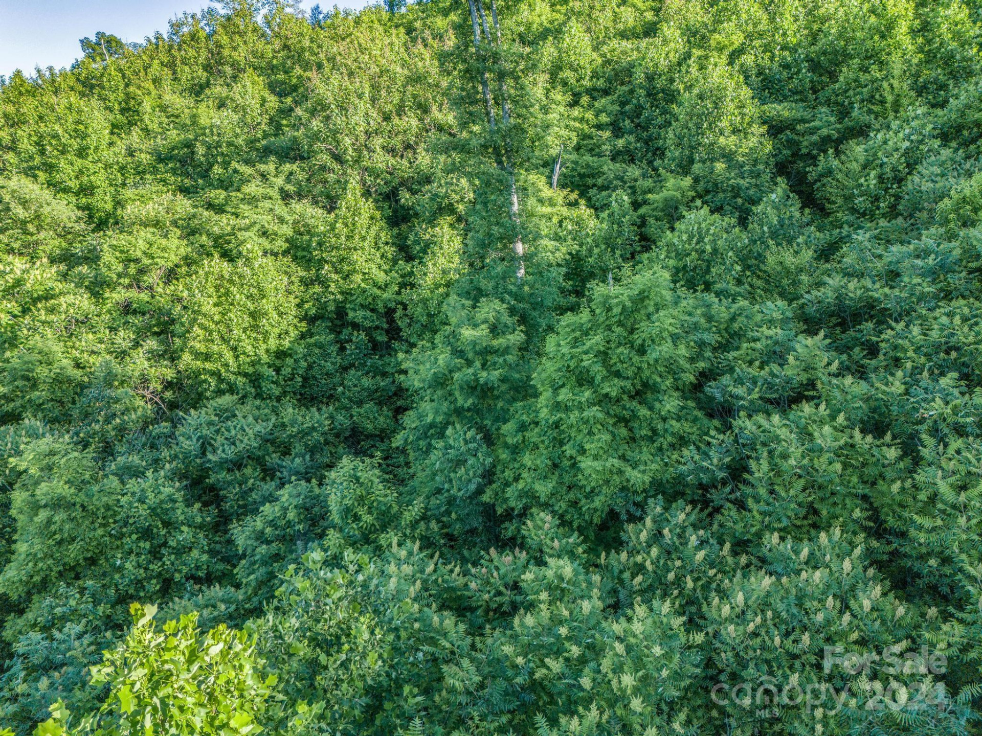 0000 H and H Trail - Photo 7