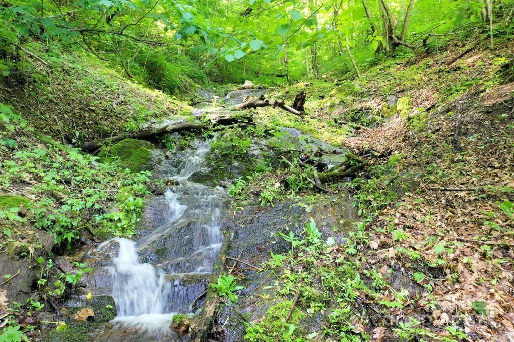 Lot 284 Running Deer Trail - Photo 2