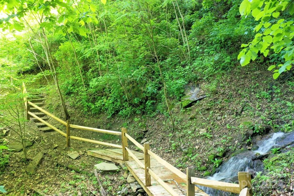 Lot 284 Running Deer Trail - Photo 3