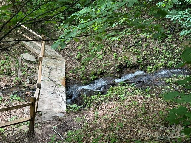 Lot 284 Running Deer Trail - Photo 4