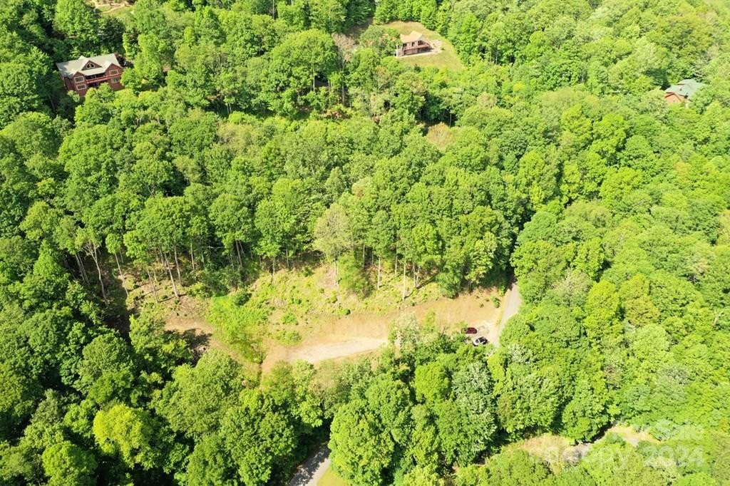 Lot 284 Running Deer Trail - Photo 5