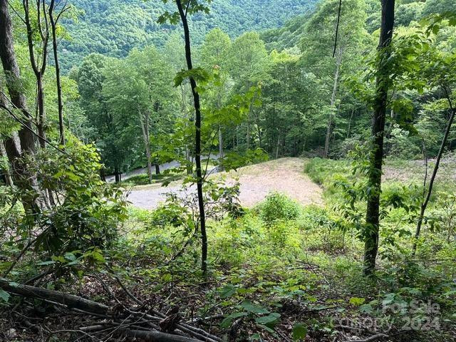 Lot 284 Running Deer Trail - Photo 6