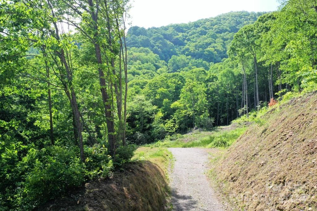 Lot 284 Running Deer Trail - Photo 9