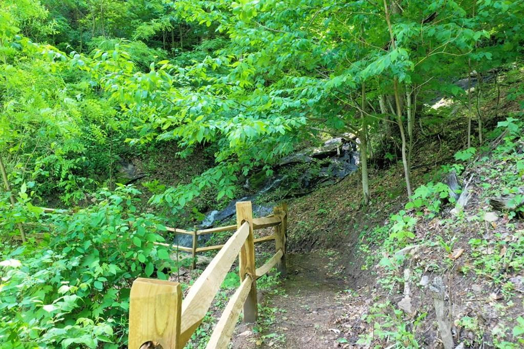 Lot 284 Running Deer Trail - Photo 10