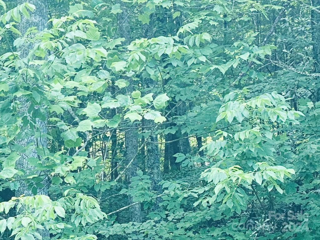 34 Grouse Haven Lane - Photo 16