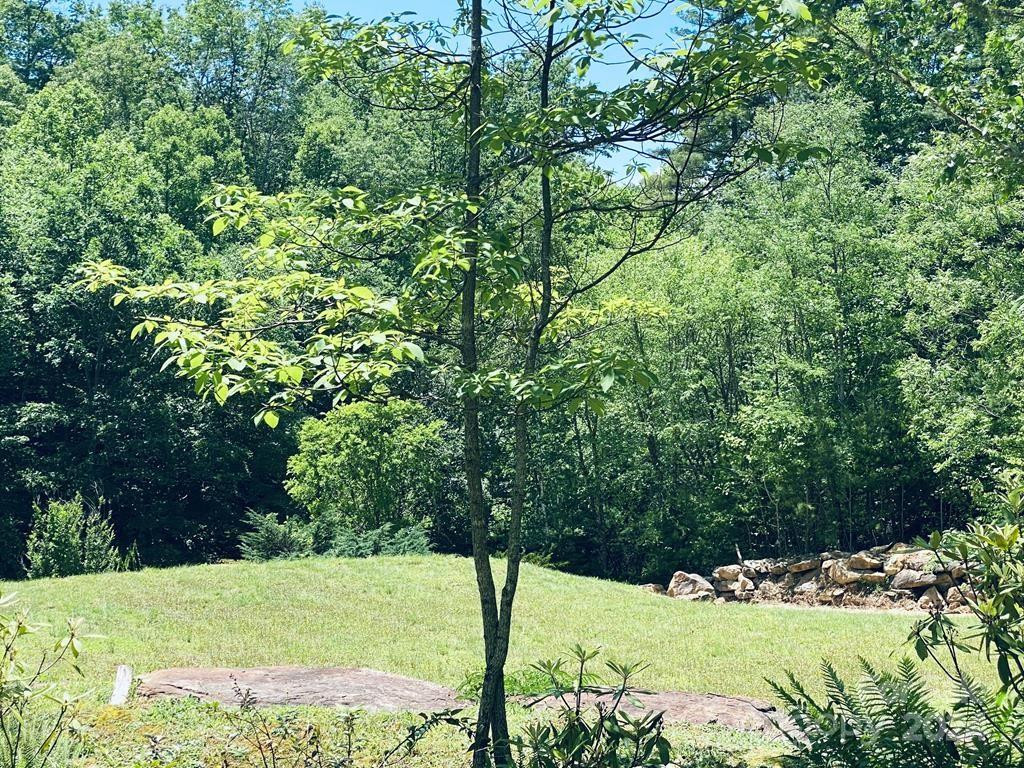 34 Grouse Haven Lane - Photo 28