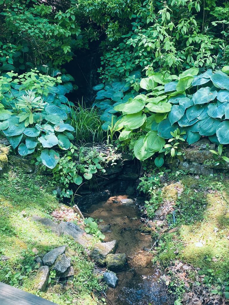 34 Grouse Haven Lane - Photo 31