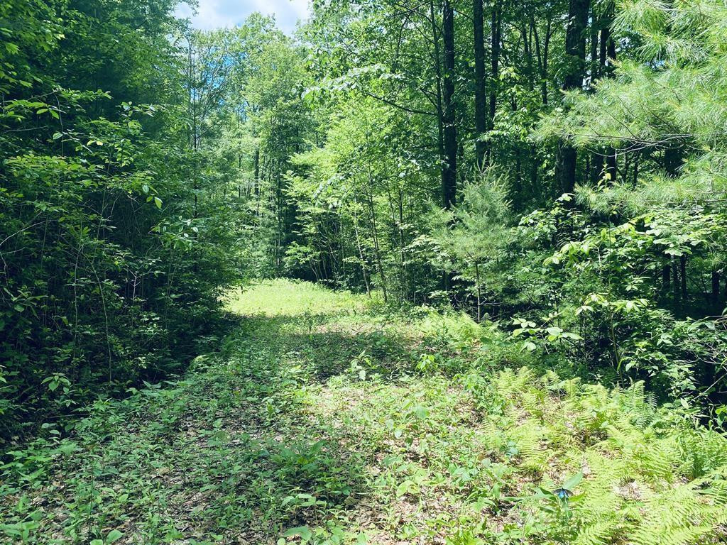 34 Grouse Haven Lane - Photo 7