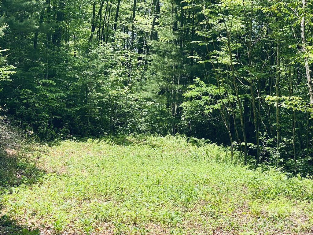 34 Grouse Haven Lane - Photo 8