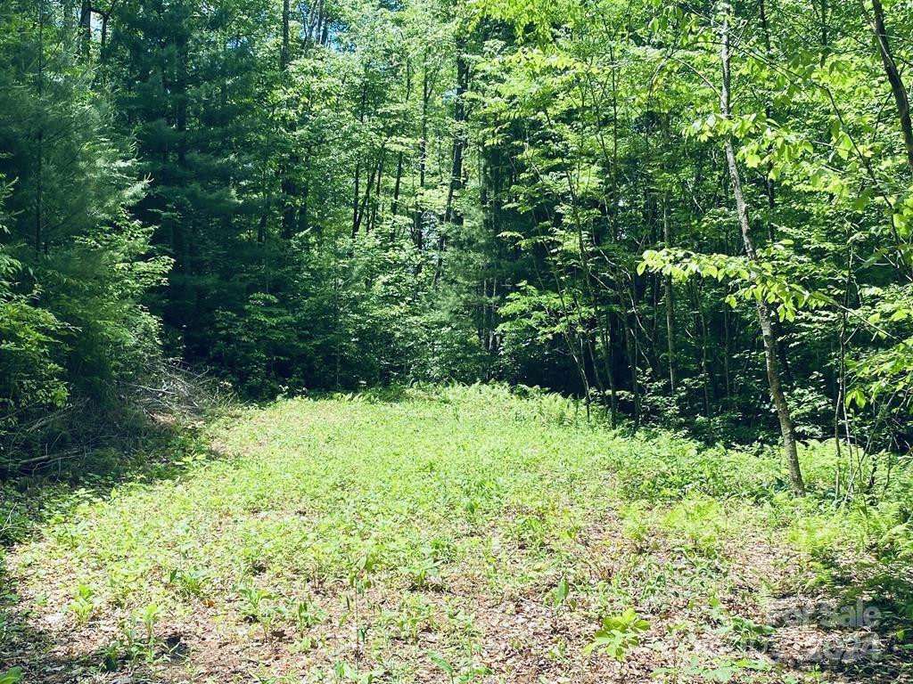 34 Grouse Haven Lane - Photo 9