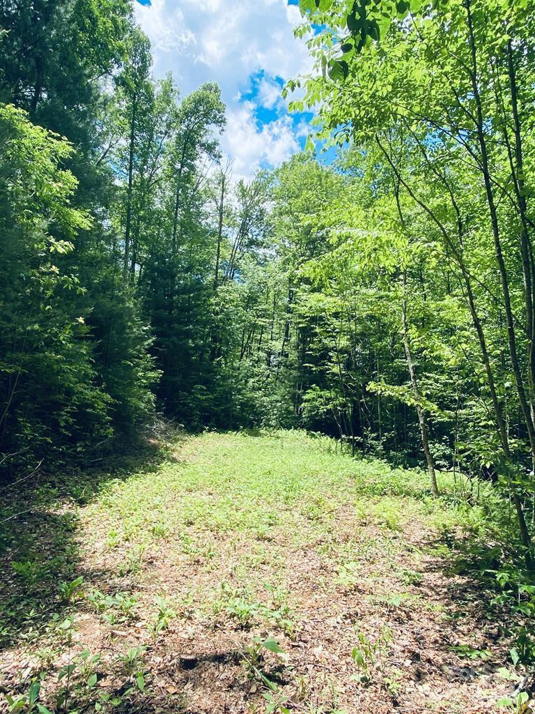 34 Grouse Haven Lane - Photo 10