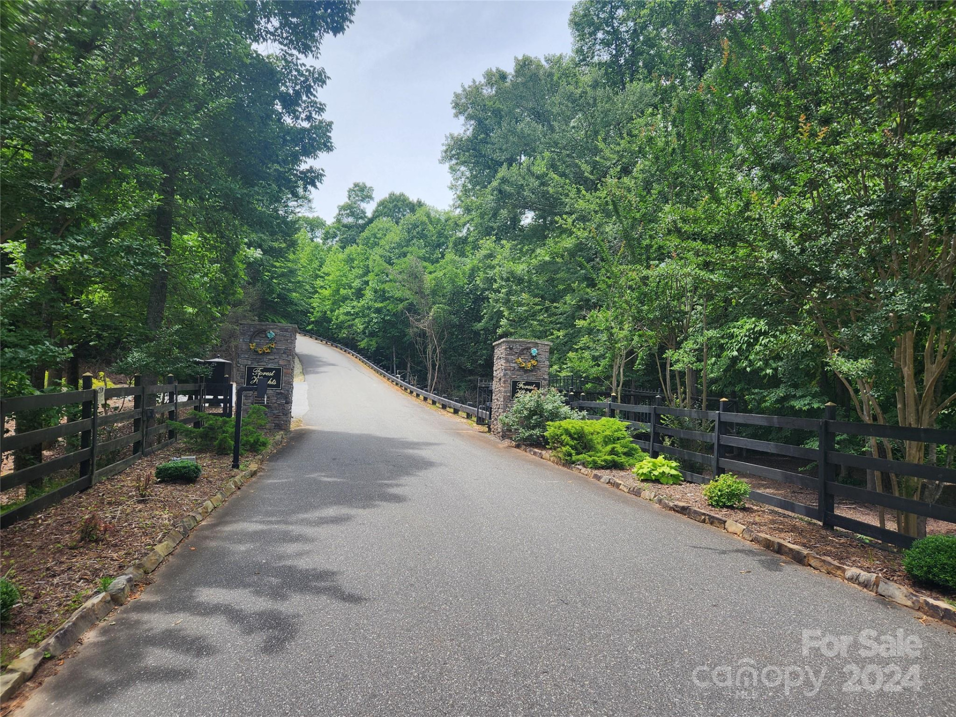 00 Trail Ridge Drive #115