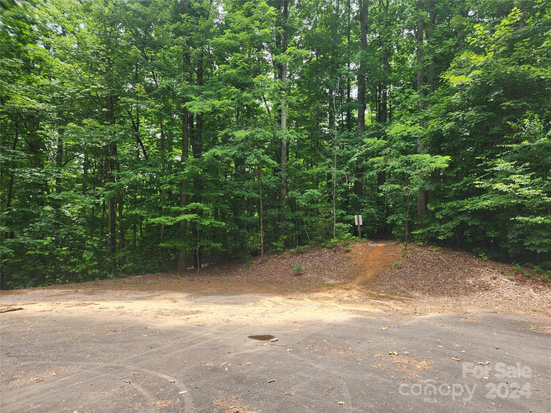 00 Trail Ridge Drive #115 - Photo 2