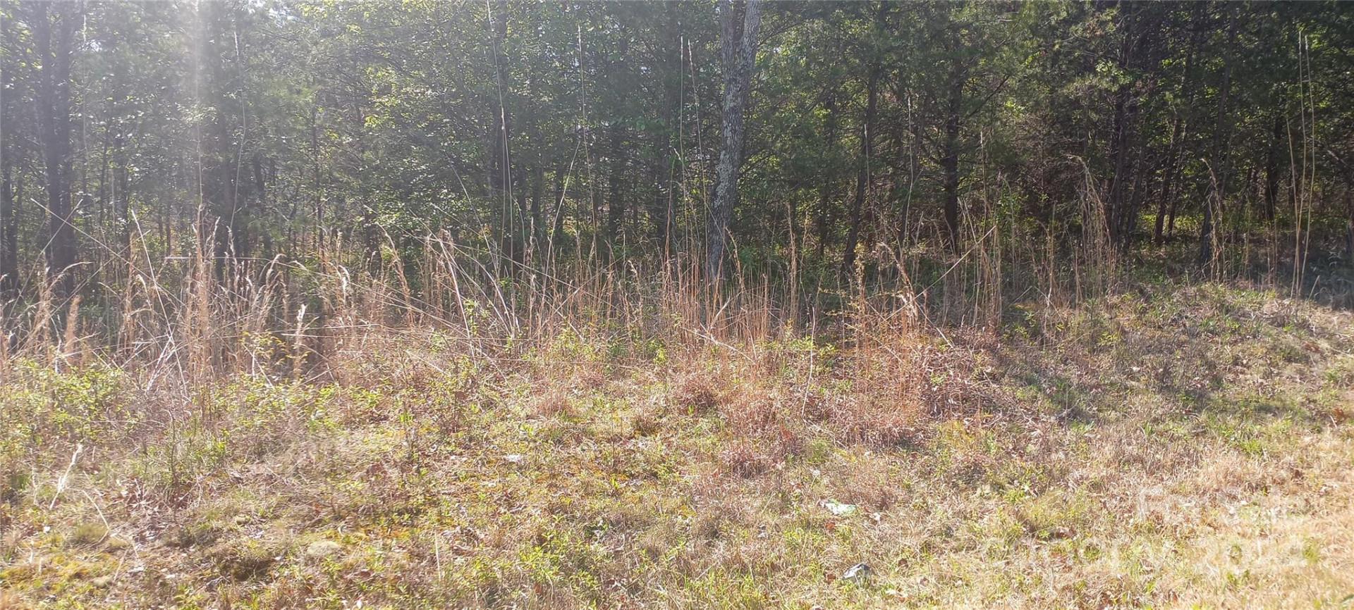 TBD Biggerstaff Loop #lot #  21 - Photo 4