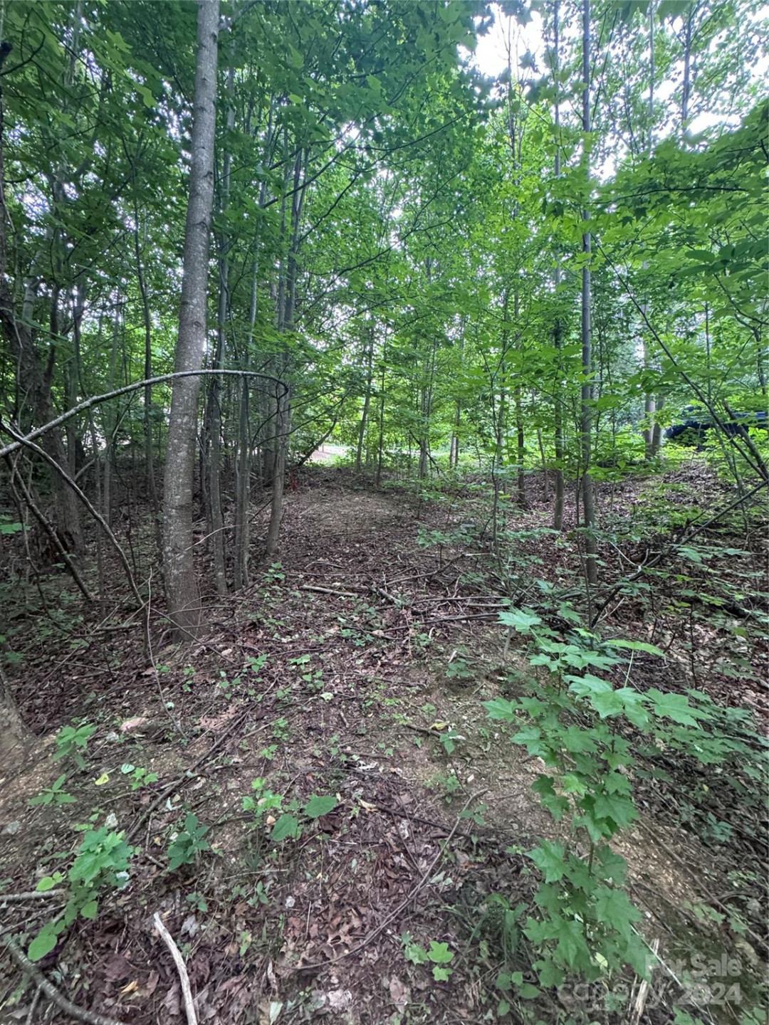 0 Holland Drive #18 - Photo 2