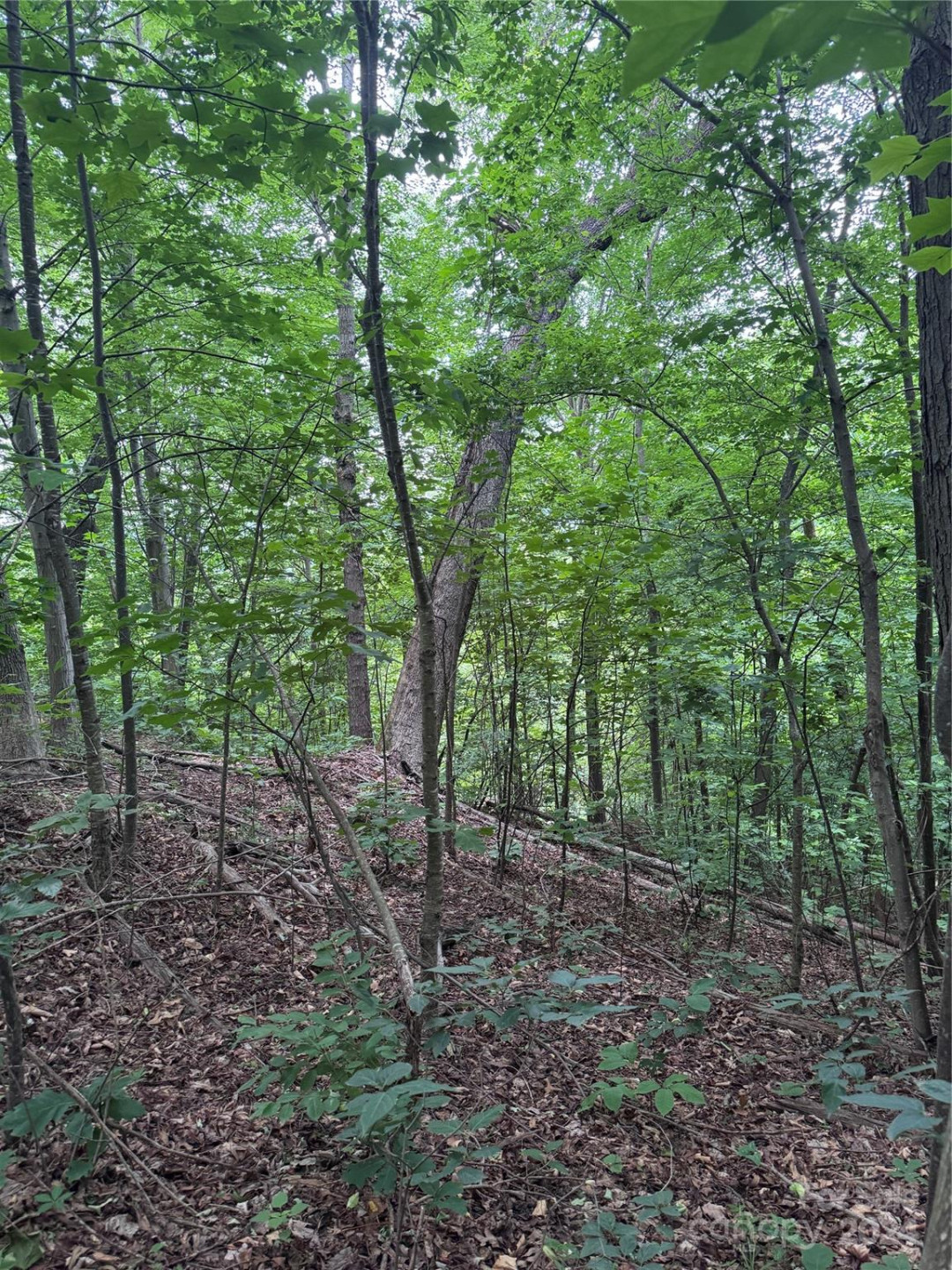 0 Holland Drive #18 - Photo 11