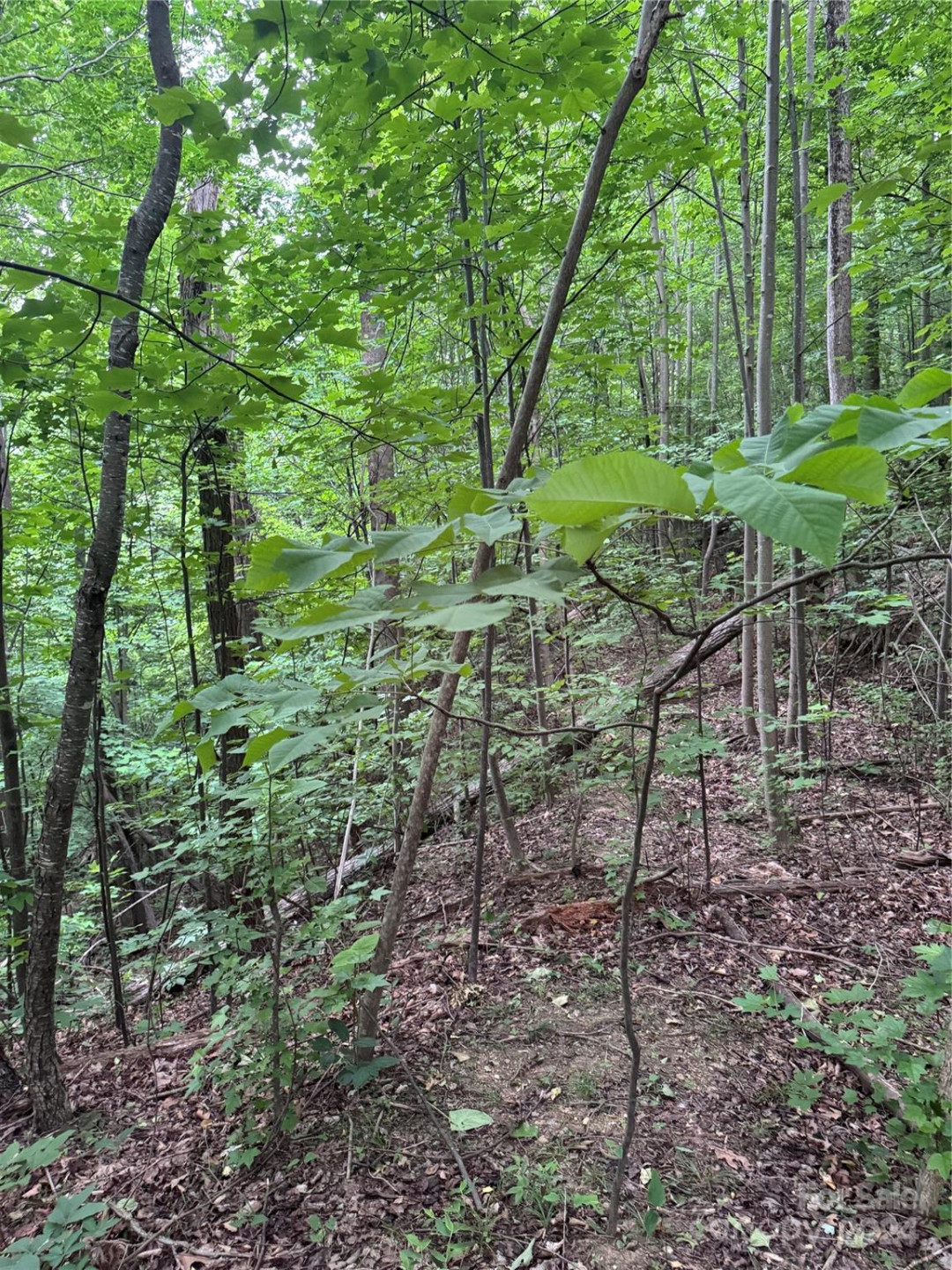 0 Holland Drive #18 - Photo 12