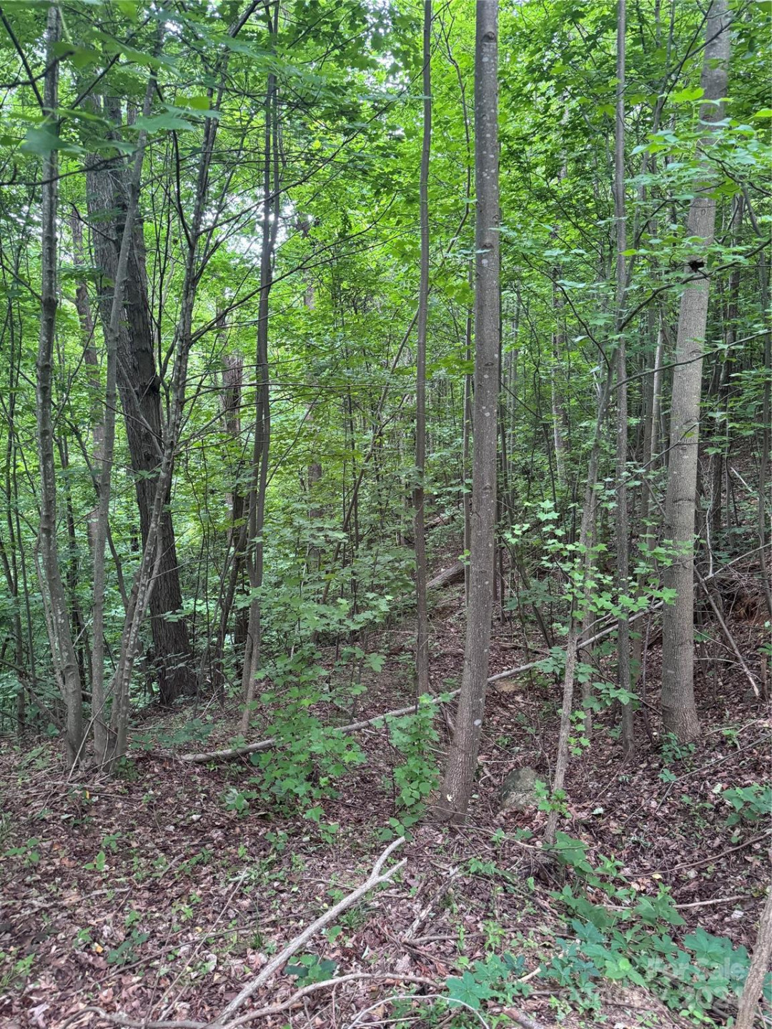 0 Holland Drive #18 - Photo 13