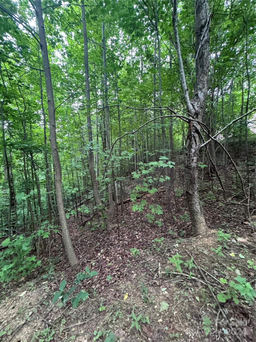 0 Holland Drive #18 - Photo 14