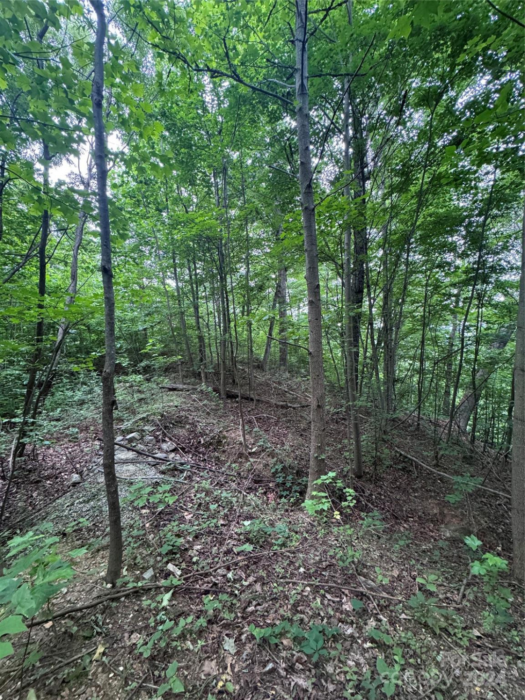 0 Holland Drive #18 - Photo 15