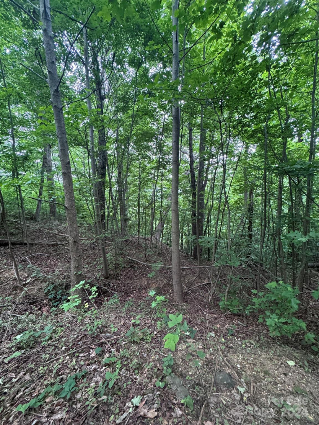 0 Holland Drive #18 - Photo 16