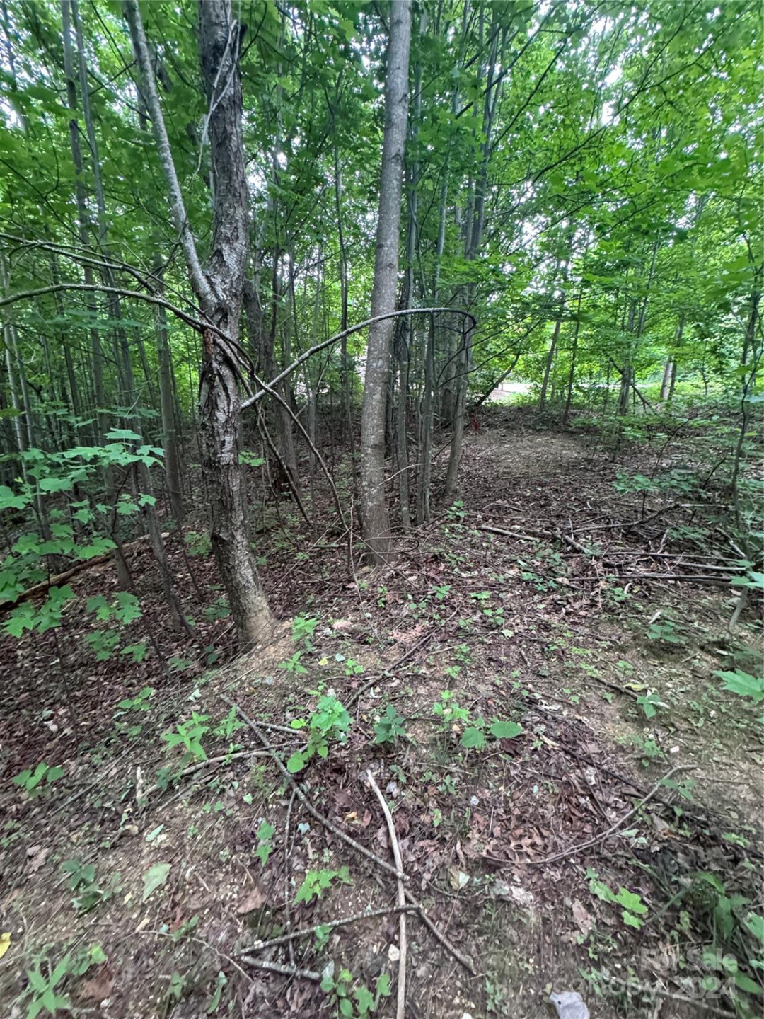 0 Holland Drive #18 - Photo 17