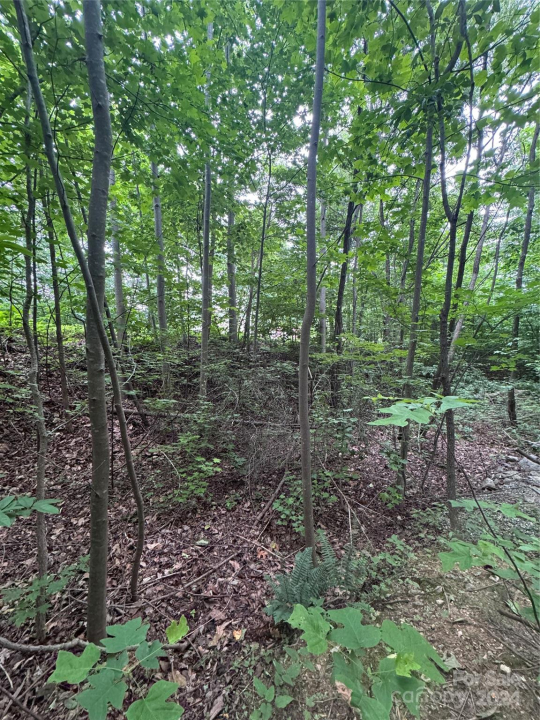 0 Holland Drive #18 - Photo 18