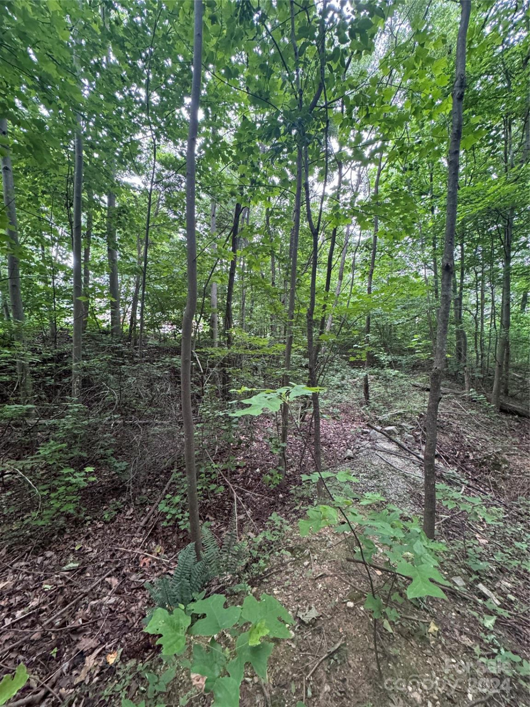 0 Holland Drive #18 - Photo 19